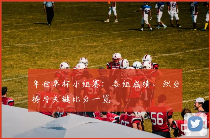 年世界杯小组赛：各组成绩、积分榜与关键比分一览