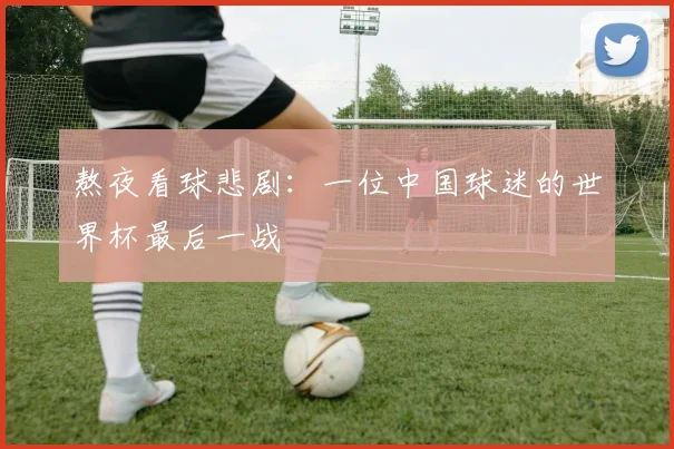 熬夜看球悲剧：一位中国球迷的世界杯最后一战