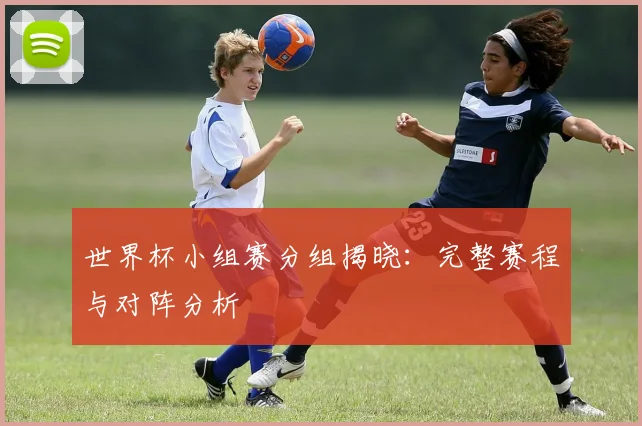 世界杯小组赛分组揭晓：完整赛程与对阵分析