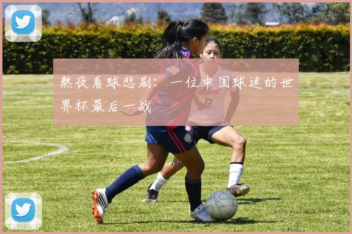 熬夜看球悲剧：一位中国球迷的世界杯最后一战